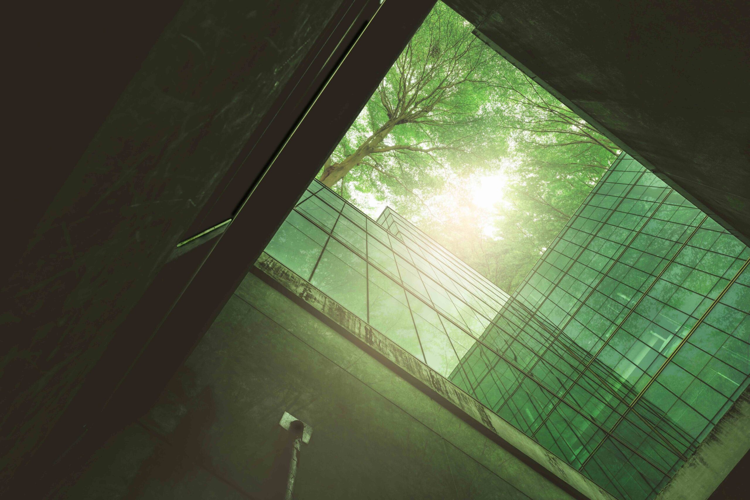 Shared Spaces Twisthink Program