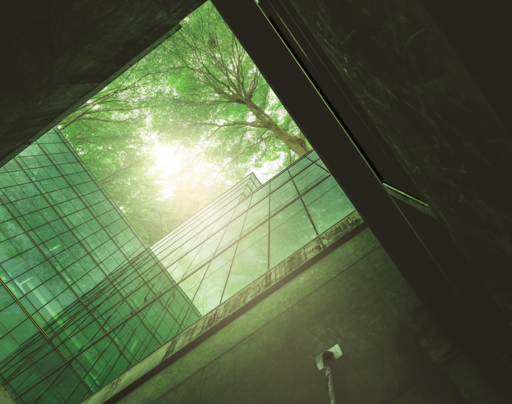 SS Square image
